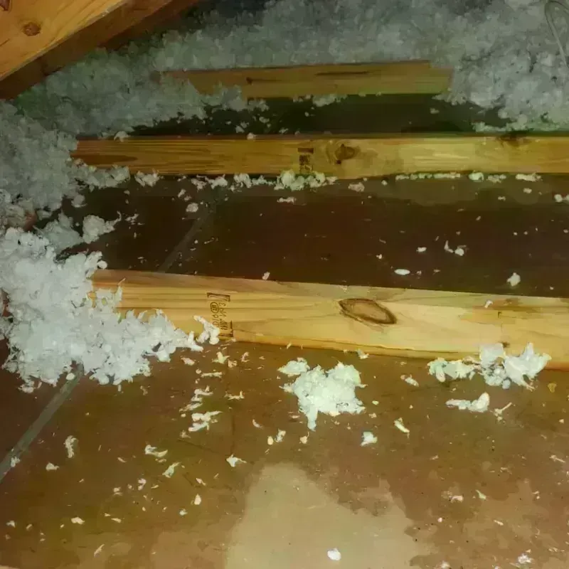 Attic Water Damage in Paulding County, GA