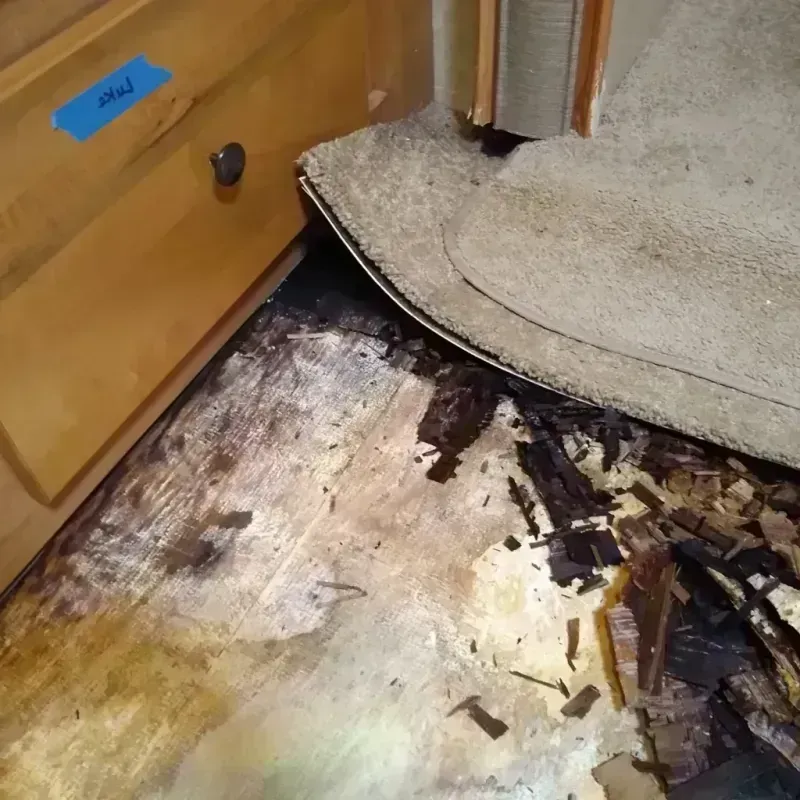 Best Wood Floor Water Damage Service in Paulding County, GA